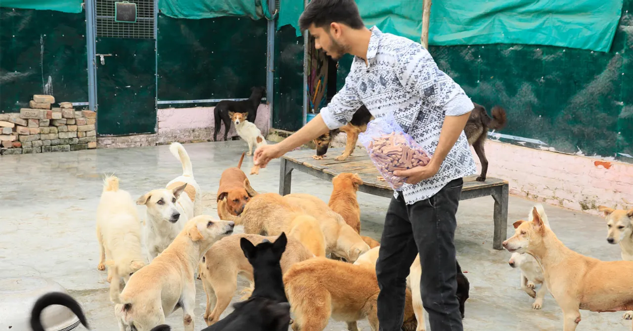 animal shelter delhi