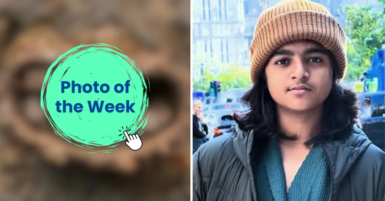 ‘Guardians of the Hive’ by Rithved Girish won Young Close-up Photographer of the Year at CUPOTY 7.