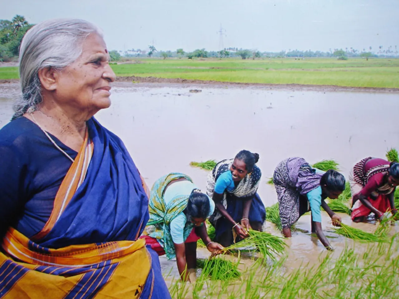 Alternative Nobel win for the Sarvodaya couple
