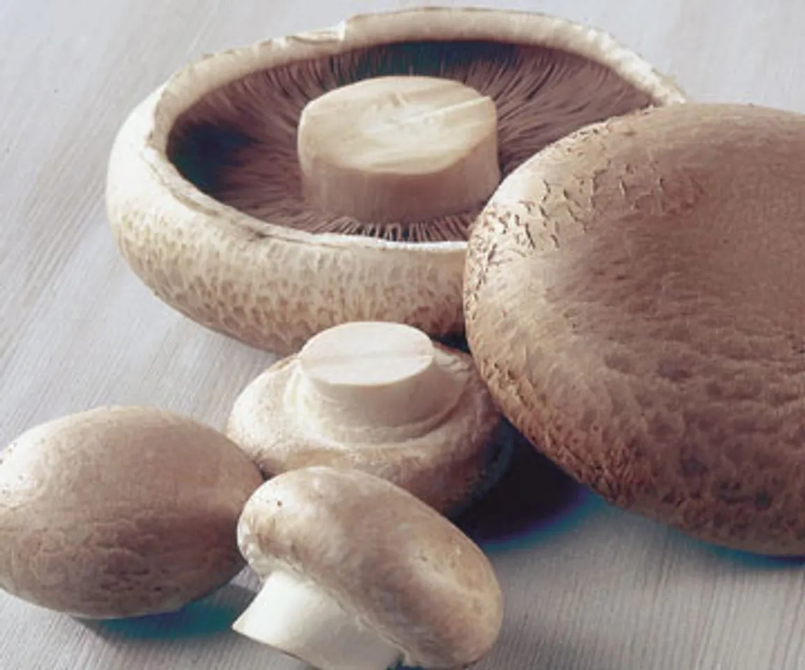 Mushrooming Growth and Prosperity