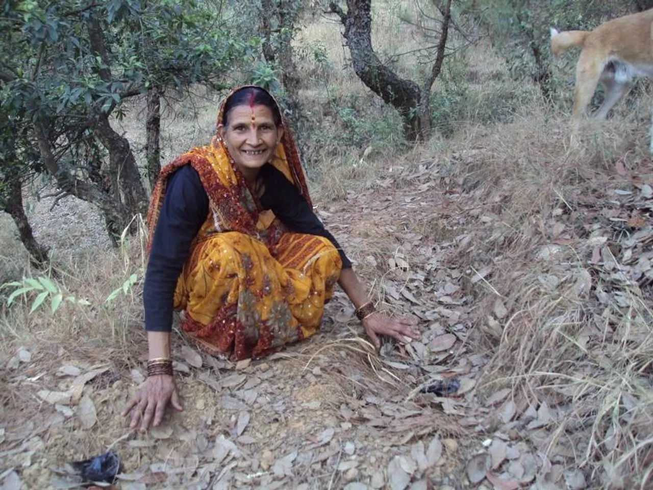 Van Panchayats - Keeping Forests Healthy And People Happy!
