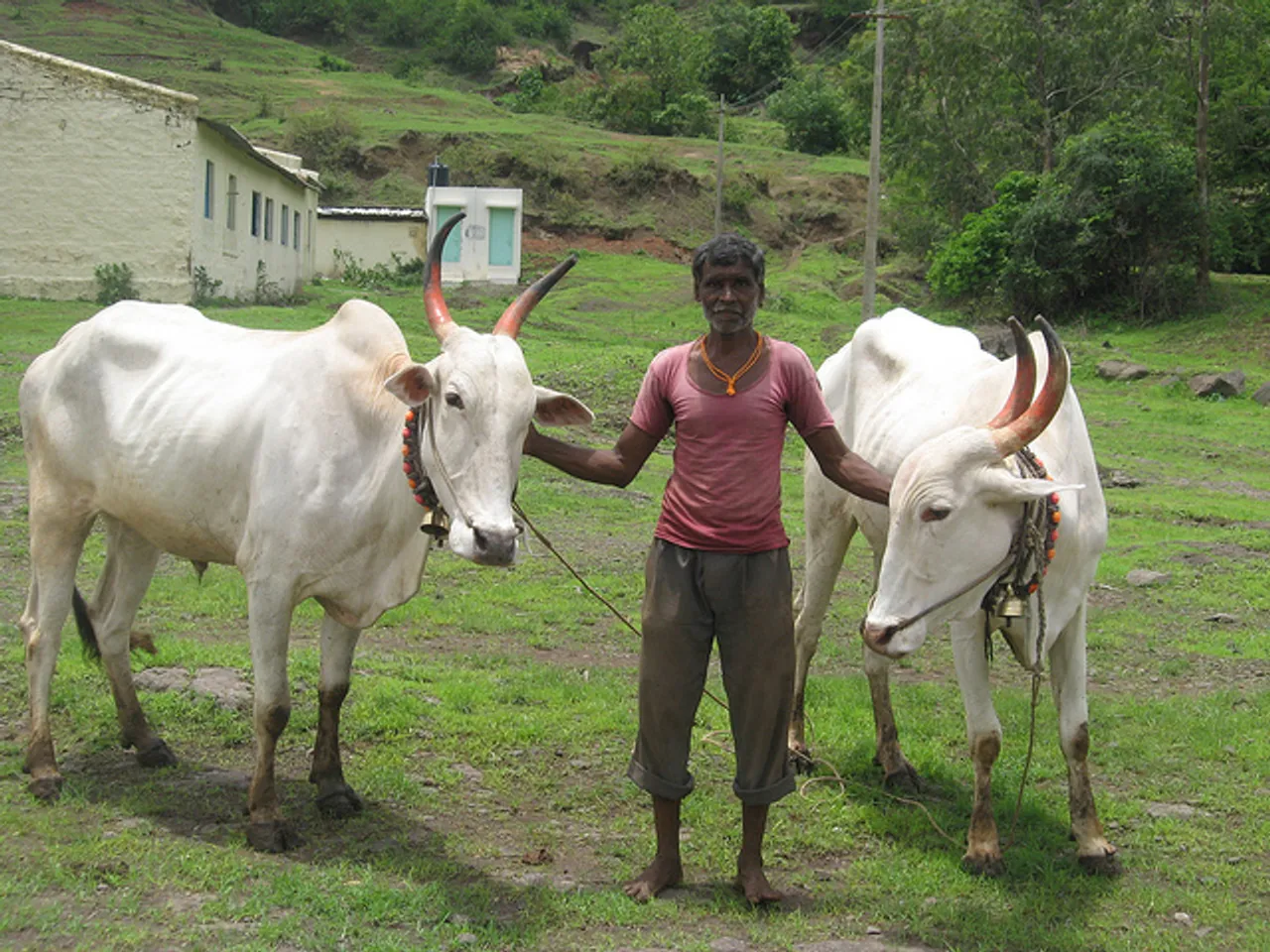 TBI Photo Essay: Post-Monsoon Celebrations In Rural Maharashtra