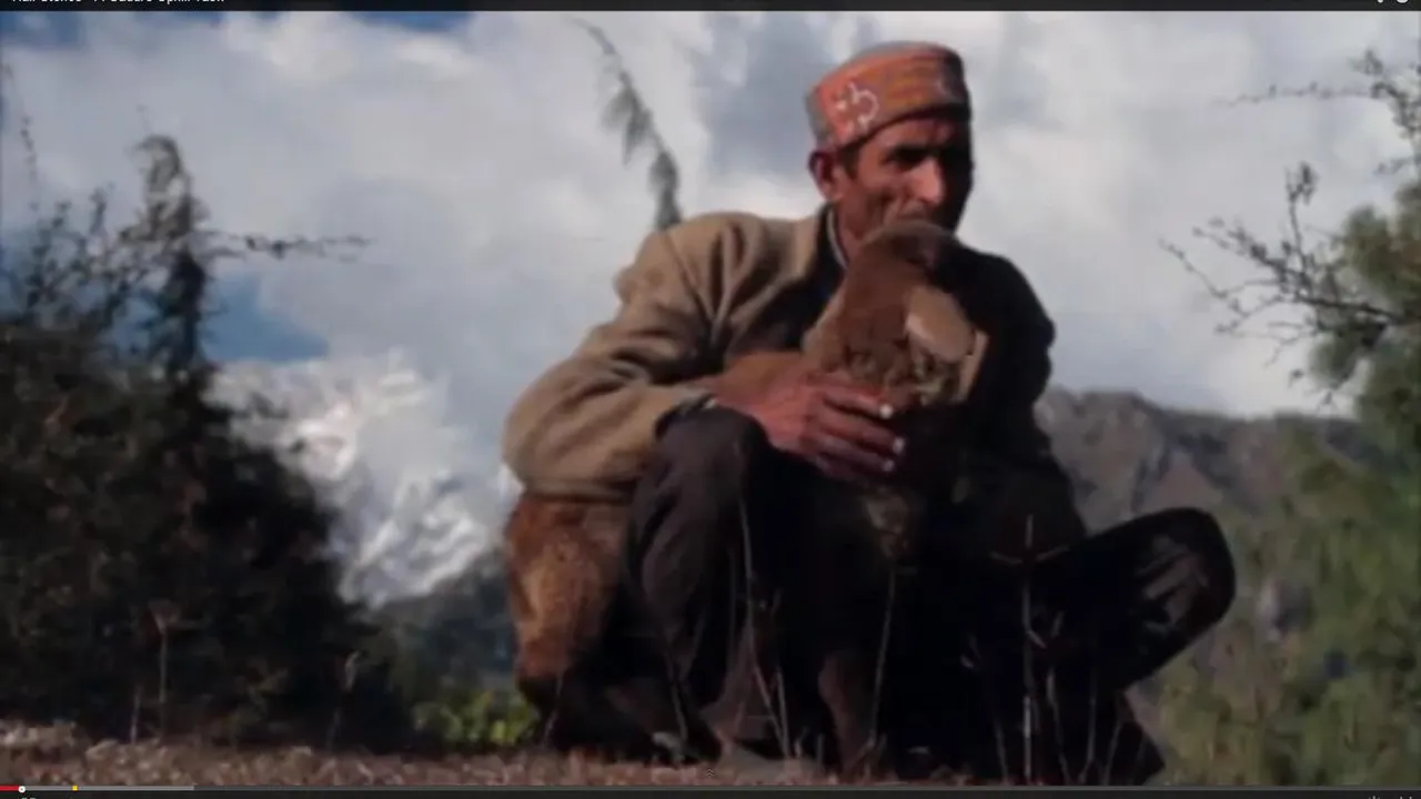 Corporate Initiative: Help Atmaram And His Sheep Survive Harsh Winters (Tata Capital’s ‘Half Stories’ Series)