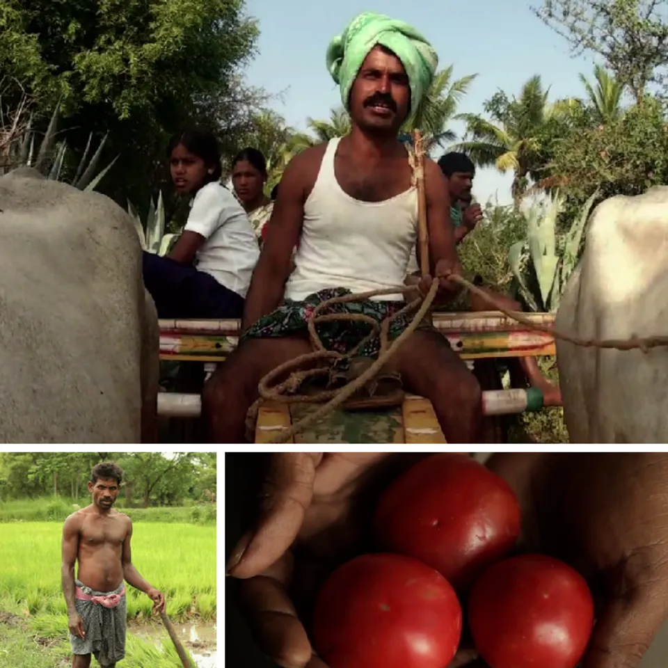 What Does A Farmer Do To A Land That Has Died? He Teams Up With Nature And Works A Miracle!
