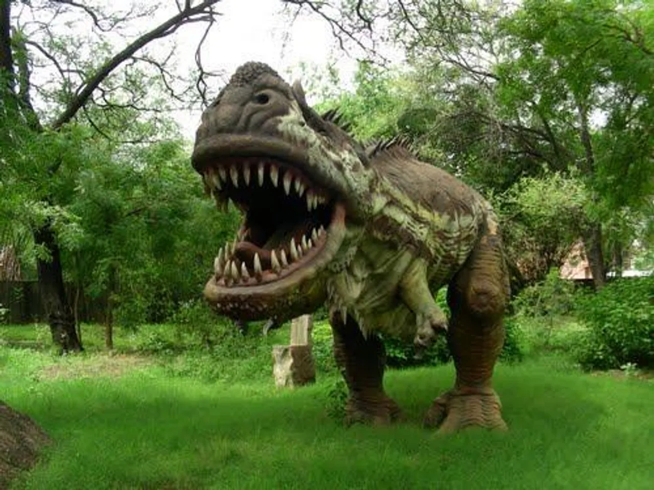 The World's Second Largest Hatchery Of Dinosaur Eggs Is Here In India's Very Own Jurassic Park