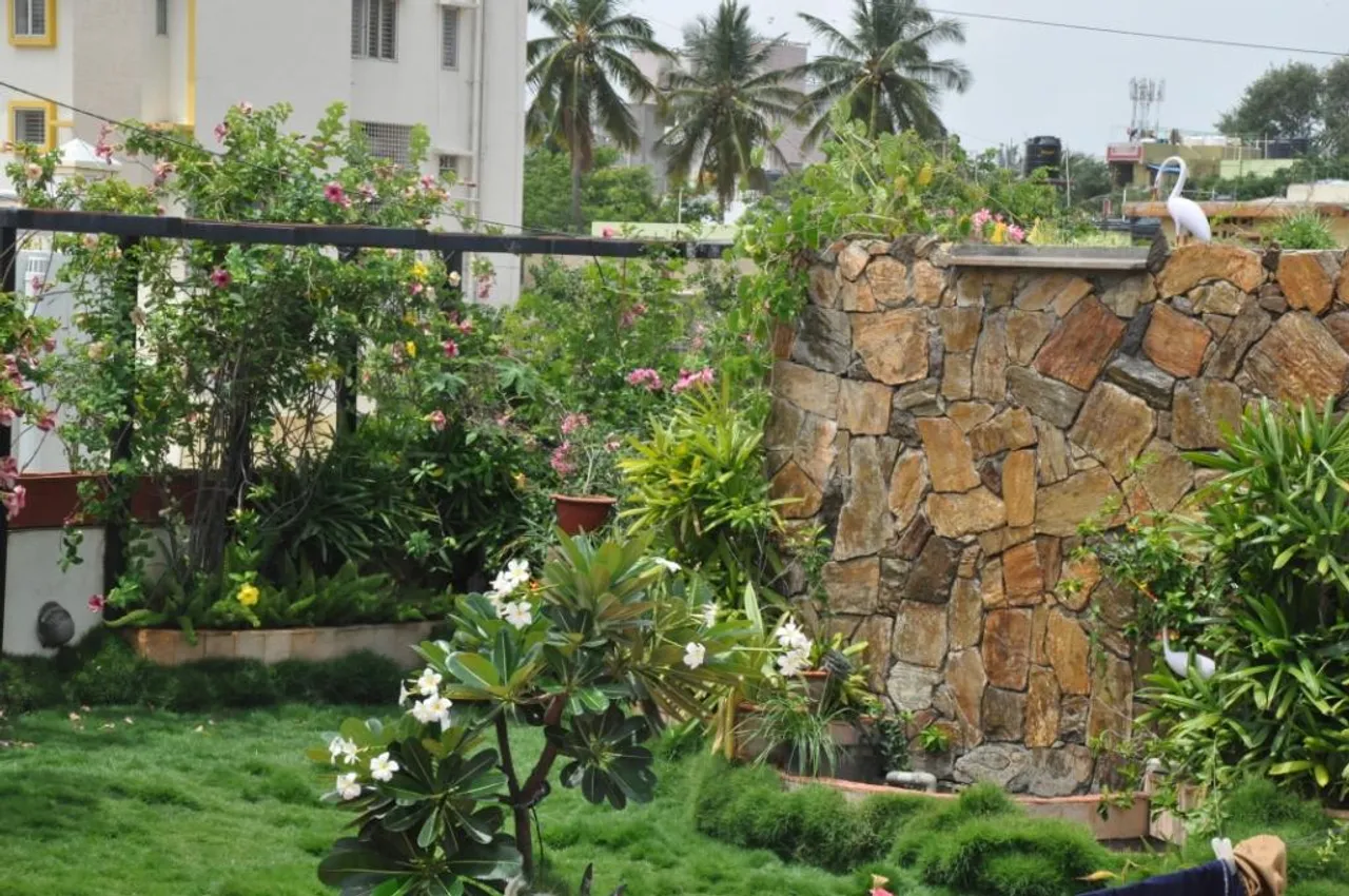YOUR VIEW: Here Is How You Can Create A Tiny Organic Farm On Your Terrace