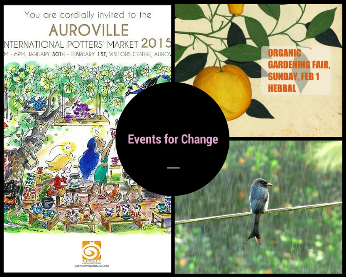 Events To Attend This Week (30/01/15 - 05/02/15)