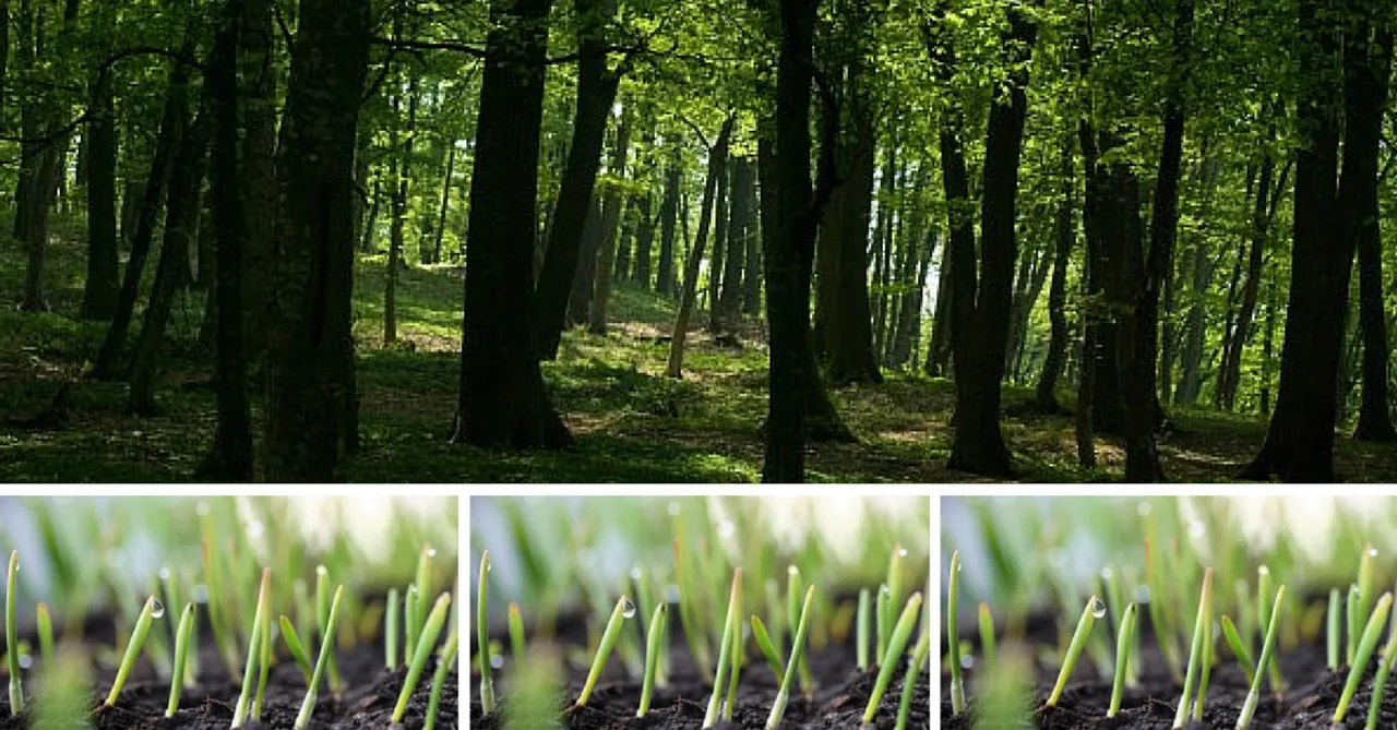 Himachal Pradesh has Earned Rs. 1.93 Crores through its Carbon Credits