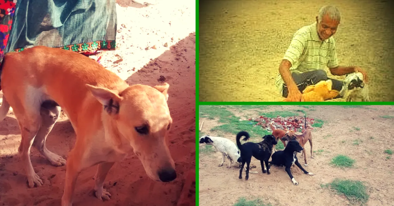 Meet Mahendra Shrimali, The Man Who Set up India's First Shelter for Dogs with Disabilities