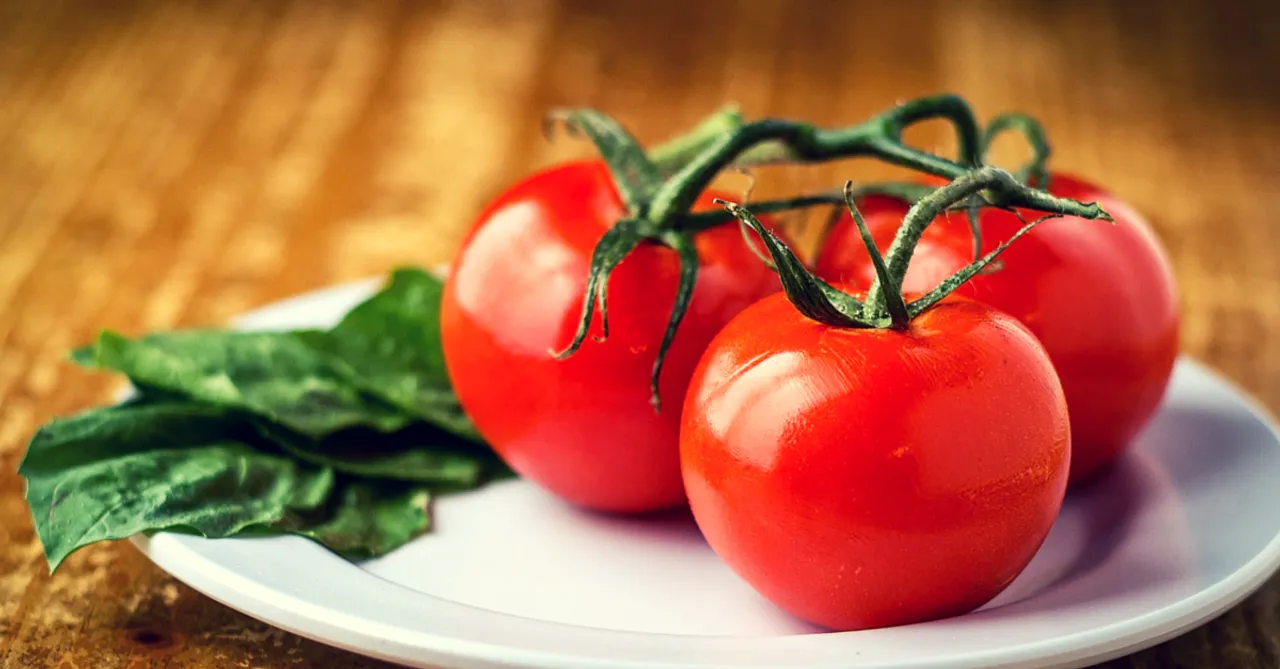 Ever Thought That Tomatoes Could Generate Solar Energy? Some Researchers in Rajkot Did!