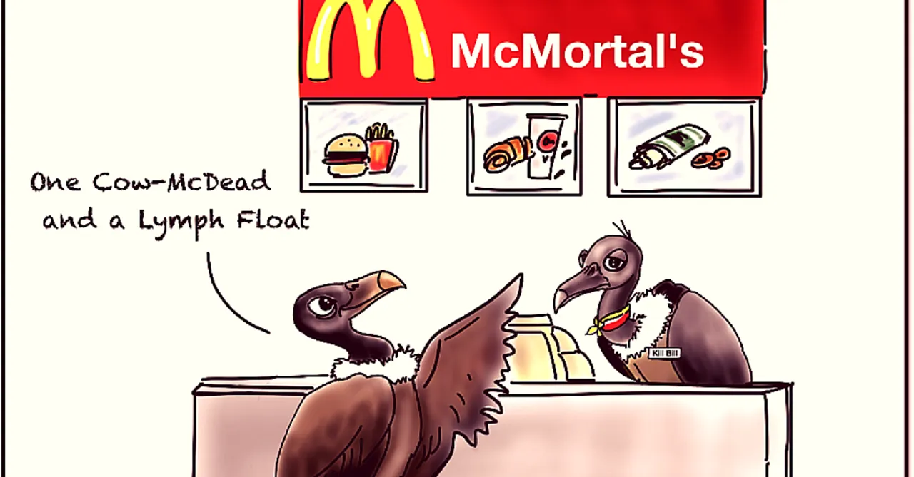 This International Vulture Day, There Is Some Great News for Vultures in India