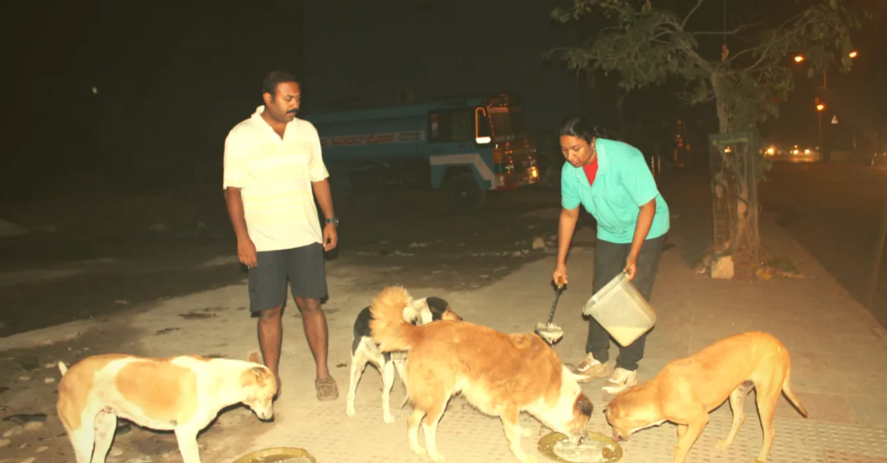 This Couple Found a Surprisingly Simple Way to Tame 120 Aggressive Stray Dogs - Just Feed Them!