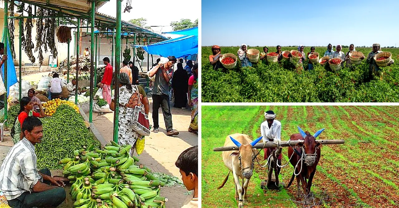 1.4 Million Farmers in K'taka Are Selling Their Produce Online – without Worrying about Middlemen