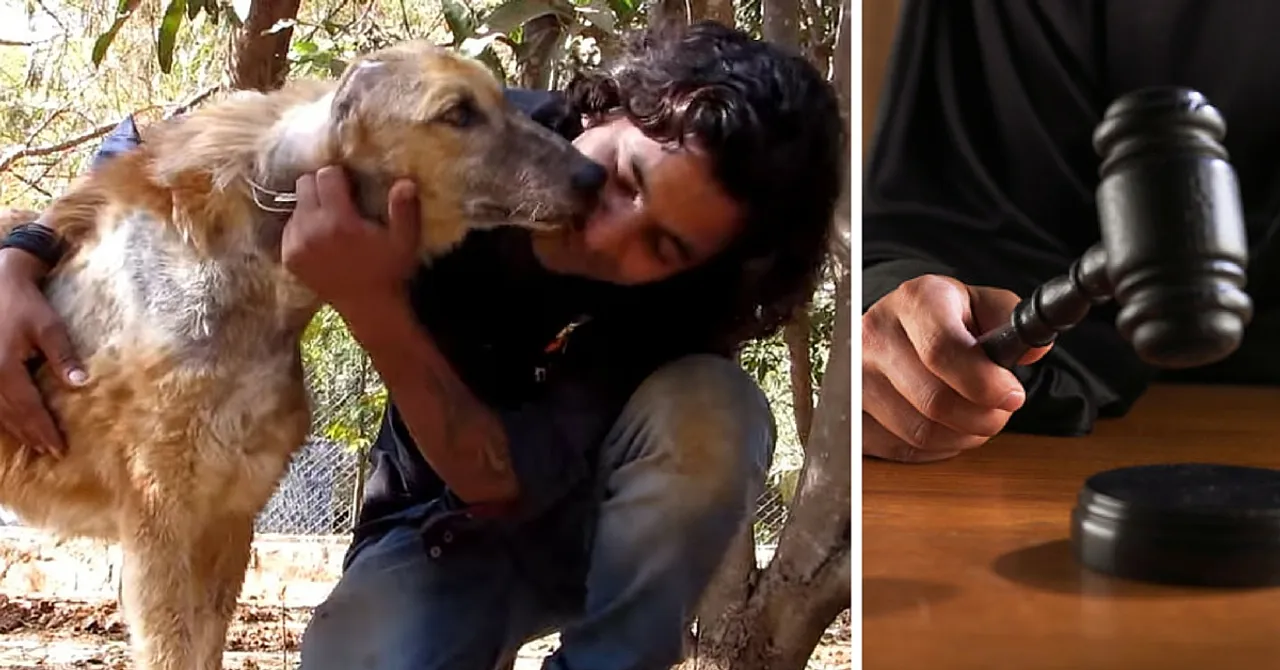 TBI BLOGS: 7 Landmark Judgements That Were Big Wins for Animal Welfare in India