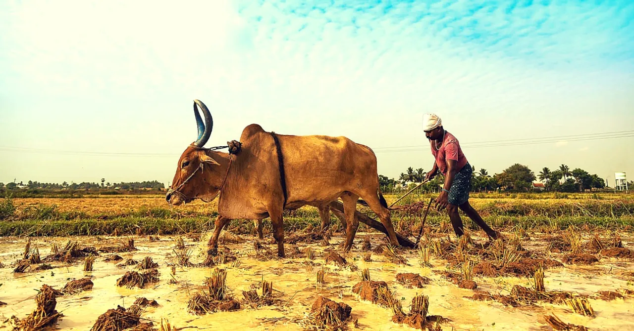 How Two UP Farmers Fought Poverty Tooth and Nail to Give Their Sons a Chance at NLSIU