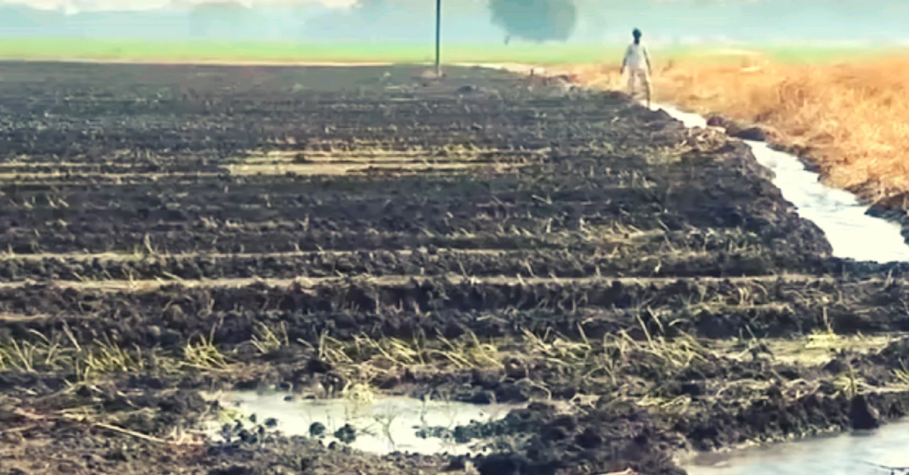 VIDEO: Drought-Hit Latur Gets Relief as Conservation Efforts Pay Off