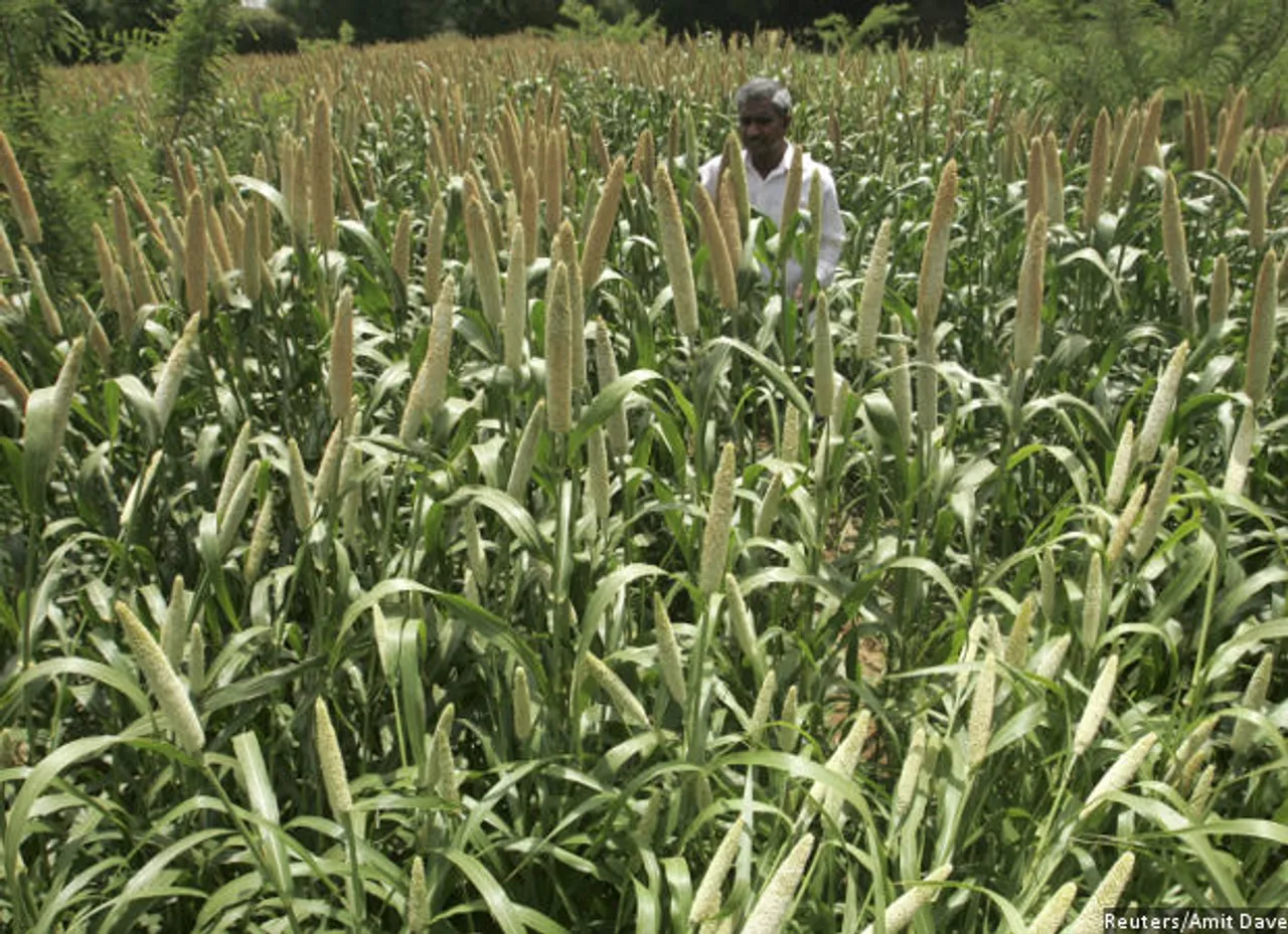 How Millets Can Alleviate India's Malnutrition Problem and Mitigate Climate Change Too