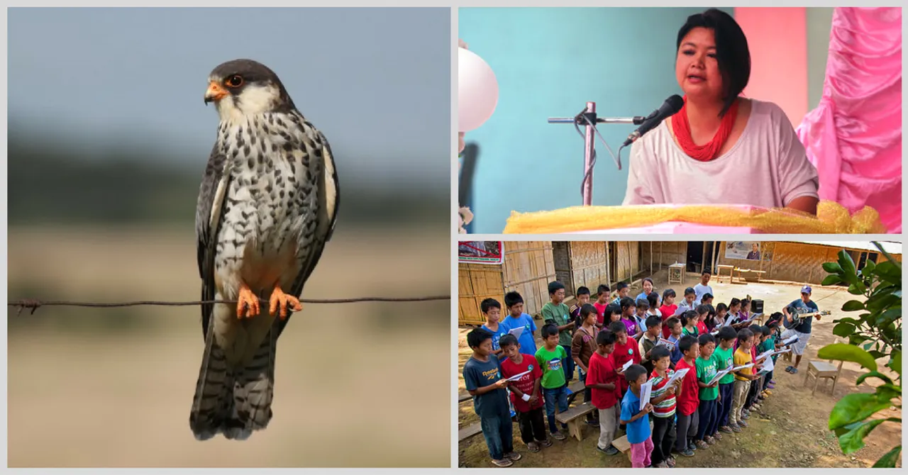 Flight of Freedom: Meet the Lady Who Saved Nagaland's Amur Falcons