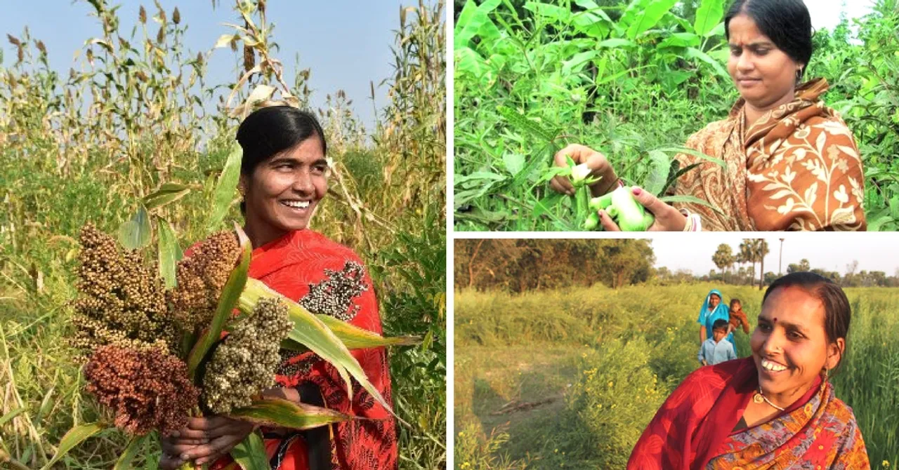 Celebrating India's Rural Women: 3 Inspiring Stories of Women Farmers Bringing About Change