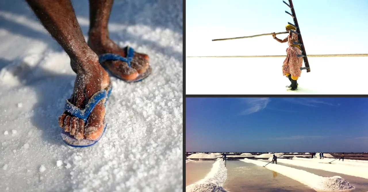 Worth their Salt: A Fascinating Glimpse into the World of the Hardworking Salt Farmers of Kutch