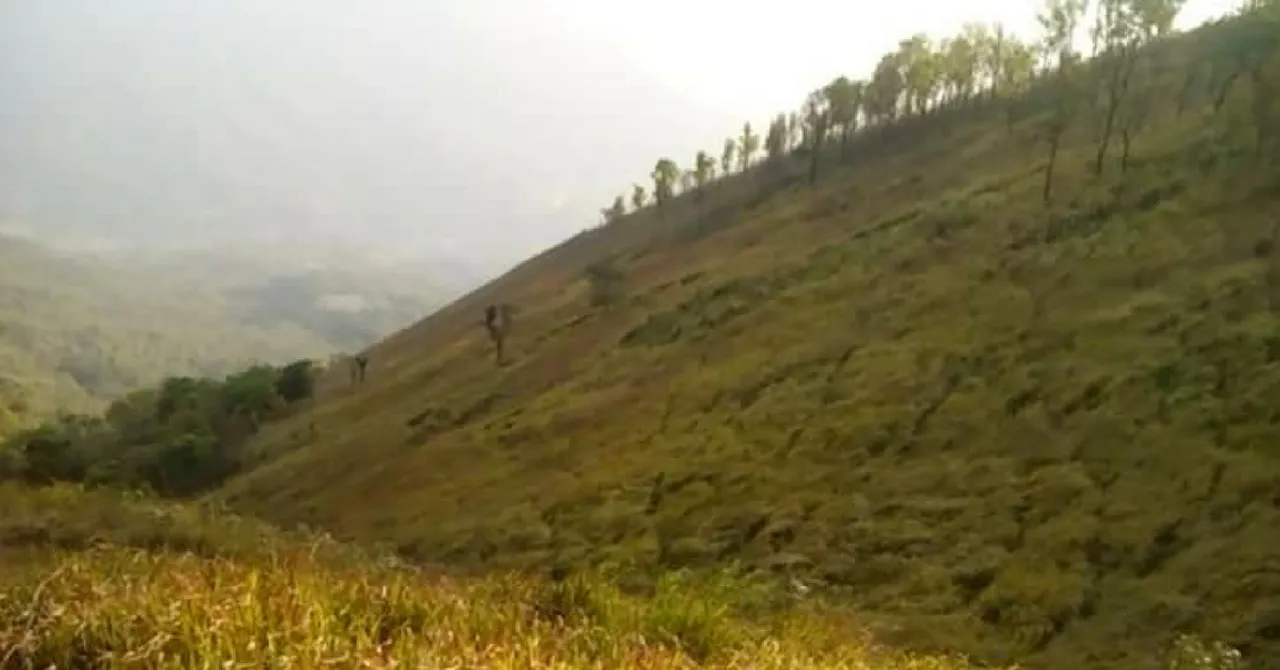 They Waited for Years for a Road, Now these Determined Villagers Are Building One Themselves
