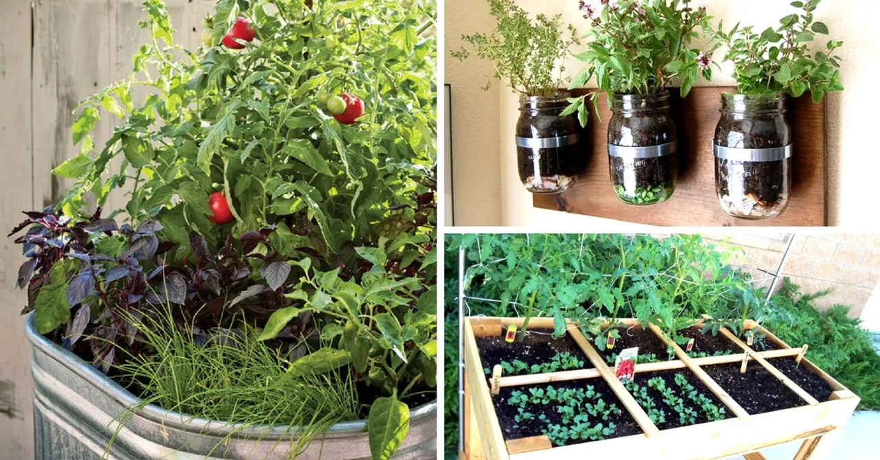 Want to Garden but Don't Have the Space? Check out These Gardening Tips for Small City Homes