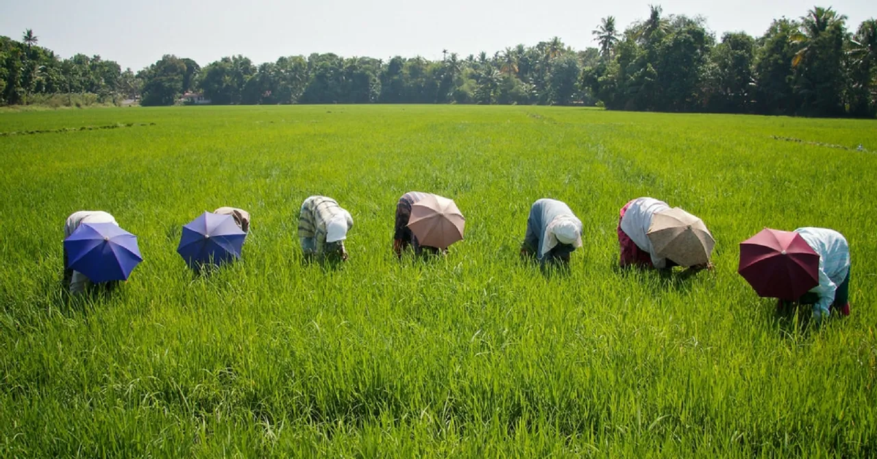 IISc Researchers Develop Tech to Help Farmers Preserve Their Produce & Tide Over Demonetisation