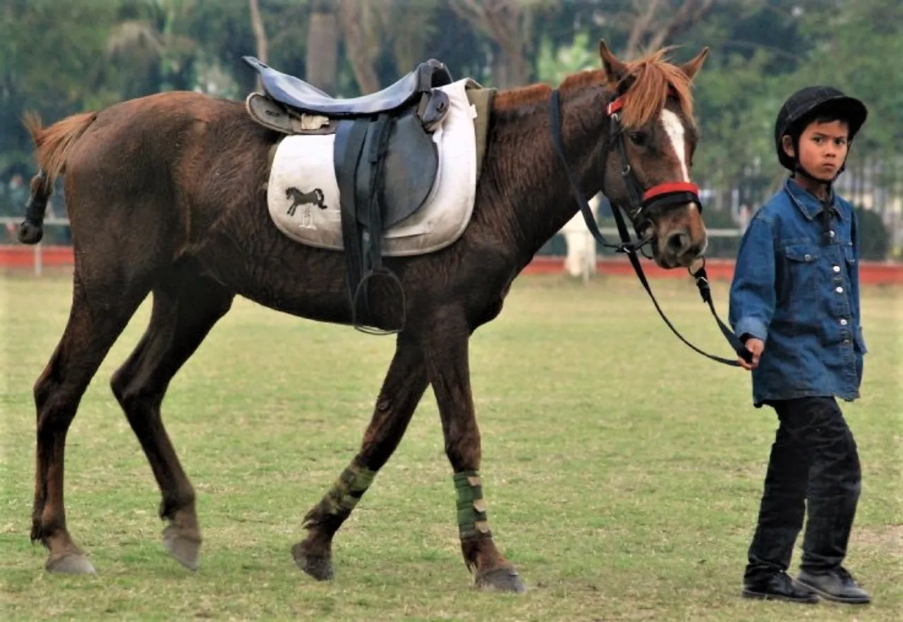 Manipur's Ponies Are on the Brink of Extinction. And This Sporting Event Could Save Them!