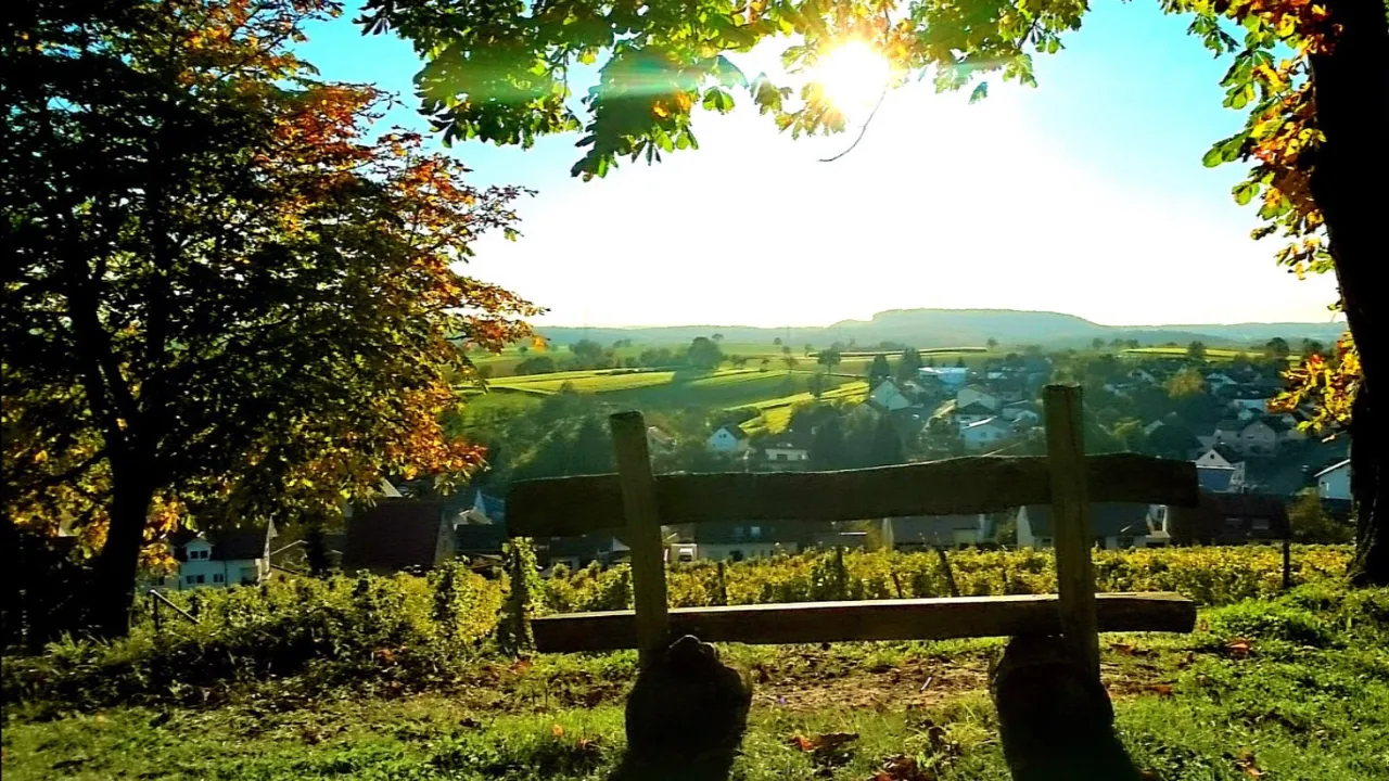 VIDEO: This Wallflower Of A Settlement In Nagaland Is India’s First Green Village