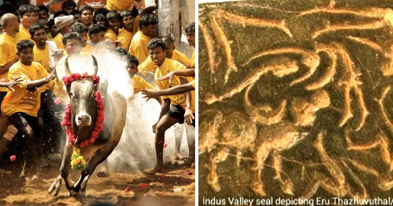 To Ban or Not to Ban: Jallikatu, Its Interesting History and Both Sides of the Debate