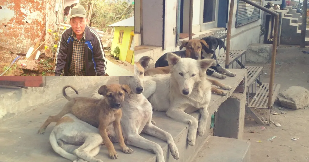 This Retired CISF Officer Threw a New Year's Eve Party for Stray Dogs, Treated Them to Biryani