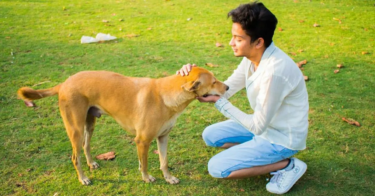 This 19-Year-Old Has Saved and Re-Homed 500+ Abandoned Animals. And He's Just Getting Started