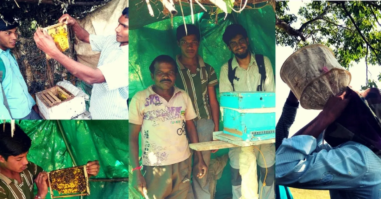 TBI Blogs: Meet 20-Year-Old Sanju Yaduvanshi – Class 8 Dropout, Professional Beekeeper, Inspiration
