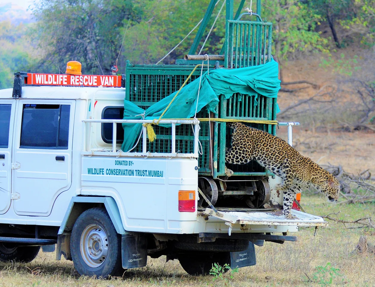 This Organisation Doesn't Just Protect Wildlife, It Conserves Forests and Empowers Villagers Too!