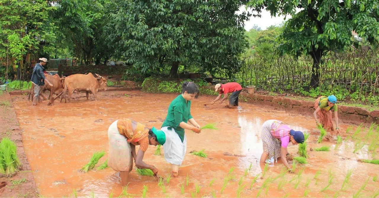 How This Mumbai Couple Juggles Careers With Running an Organic Farm in Rural Maharashtra