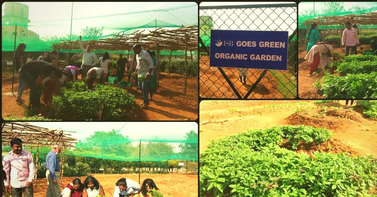 The New Organic Farm at ISB Has Become an Unlikely Stress Buster for Its Students