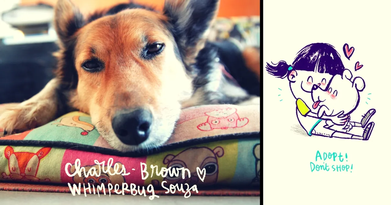 MY STORY: I Adopted an Indie Dog and He Became My Muse, and the Love of My Life