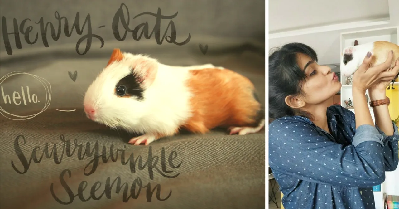 MY STORY: 'Henry-Oats Is the Naughtiest Guinea Pig I've Ever Had the Pleasure of Being a Mummy To'