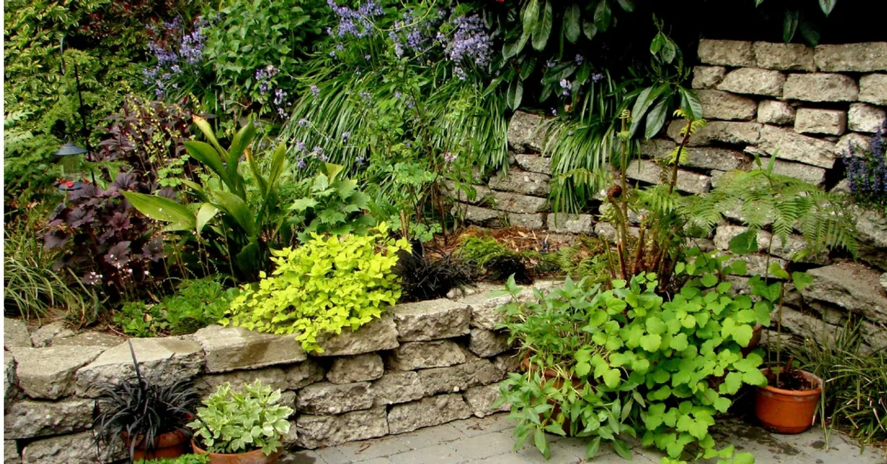 Plants Can Feel the Heat Too! Here Are 15 Tips to Keep Your Garden Blooming Through Summer