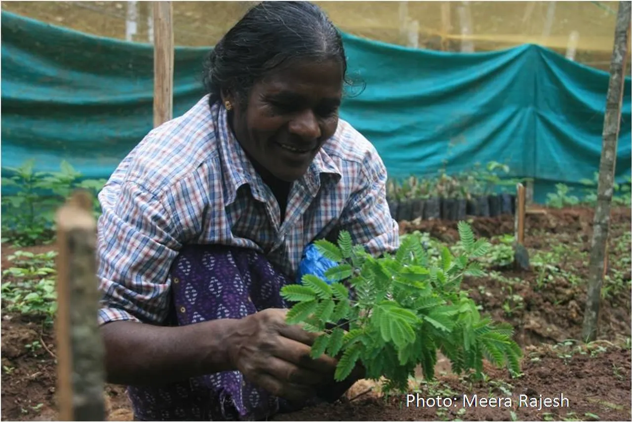 How We Took Degraded Land in the Western Ghats & Turned It Into a Thriving Forest in Just 7 Years