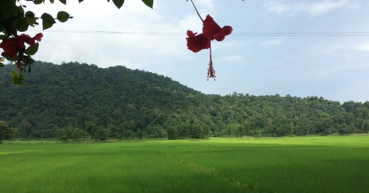 TBI Blogs: Small Water Pumps Are Scripting Success Stories for Marginal Farmers in Assam