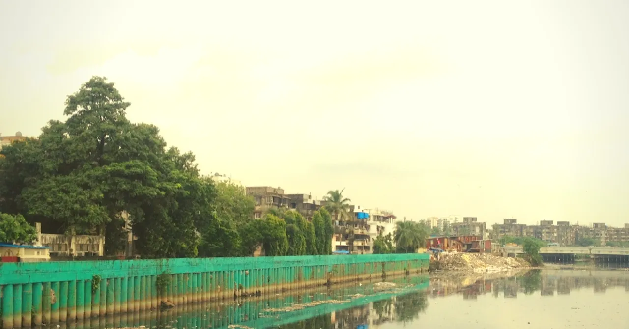 In 5 Sundays, 150 Mumbaikars Cleared 1.47 Lakh Kg of Waste From the Poisar River