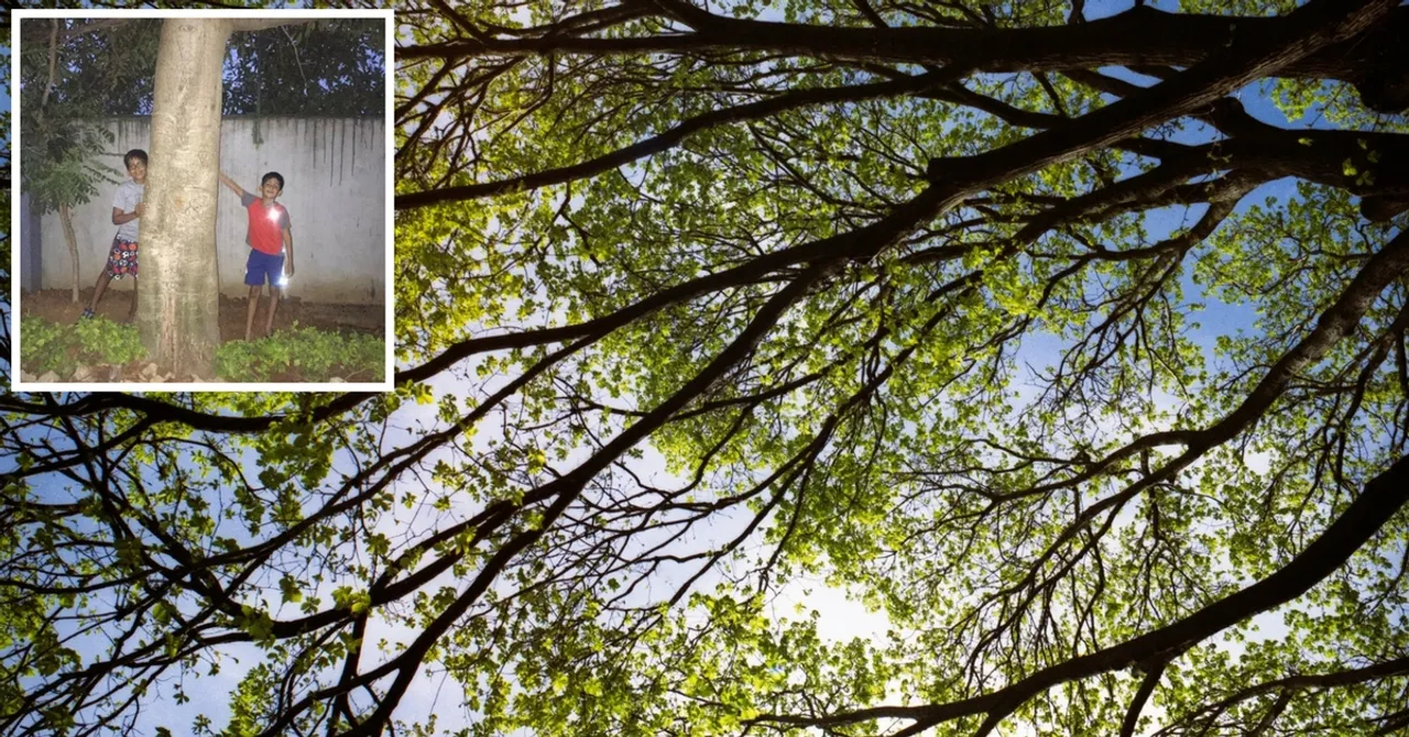Bengaluru Brothers, 9 &7, Went to Incredible Lengths to Save an Old Apartment Tree From the Axe