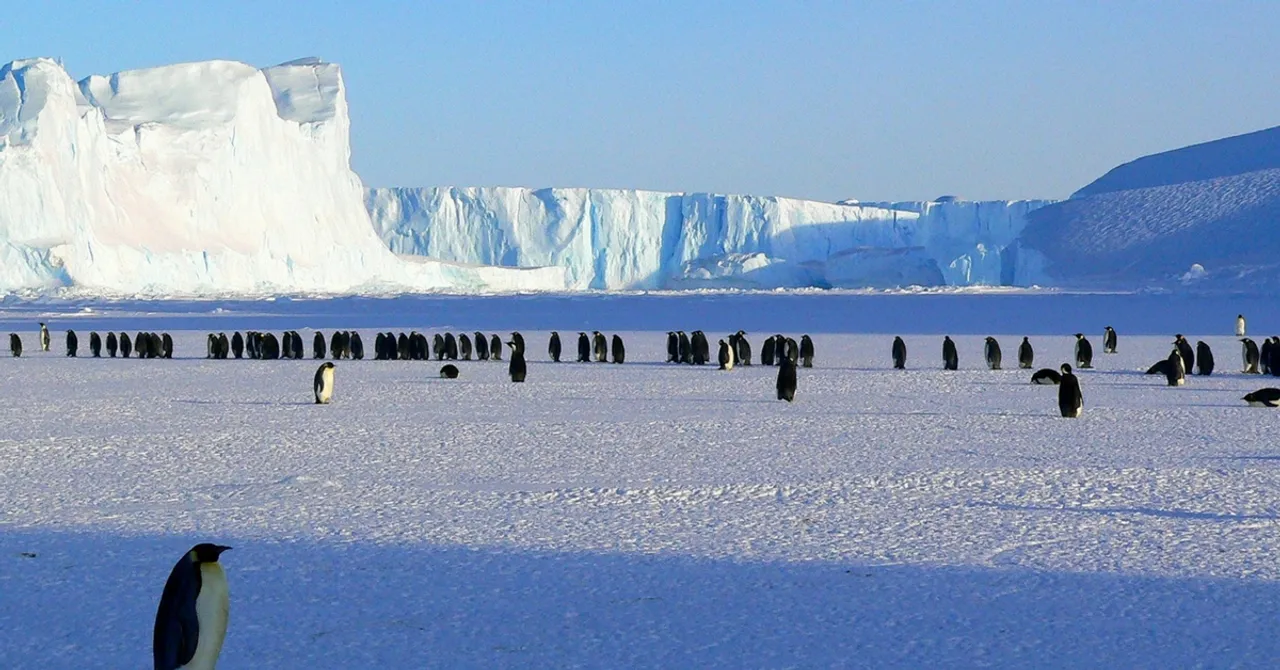 From India to Antarctica: First-Ever Indian Luxury Cruise to Continent Will Set Sail This December!