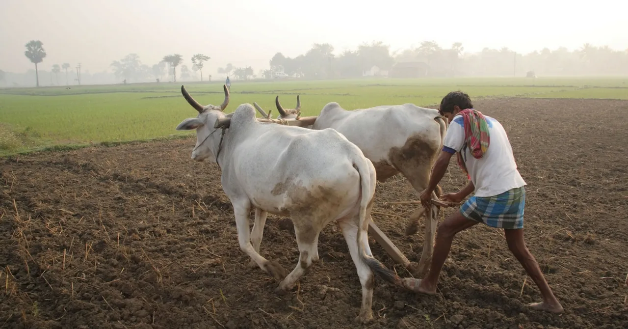 Ever Wondered How Much a Fair Price for an Indian Farmer's Produce Should Be?
