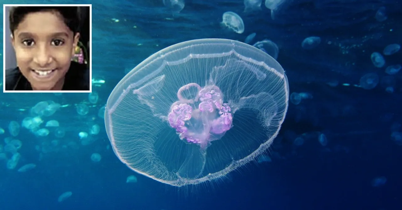 How a 9-Year-Old TN Boy Discovered a Whole New Freshwater Jellyfish Species