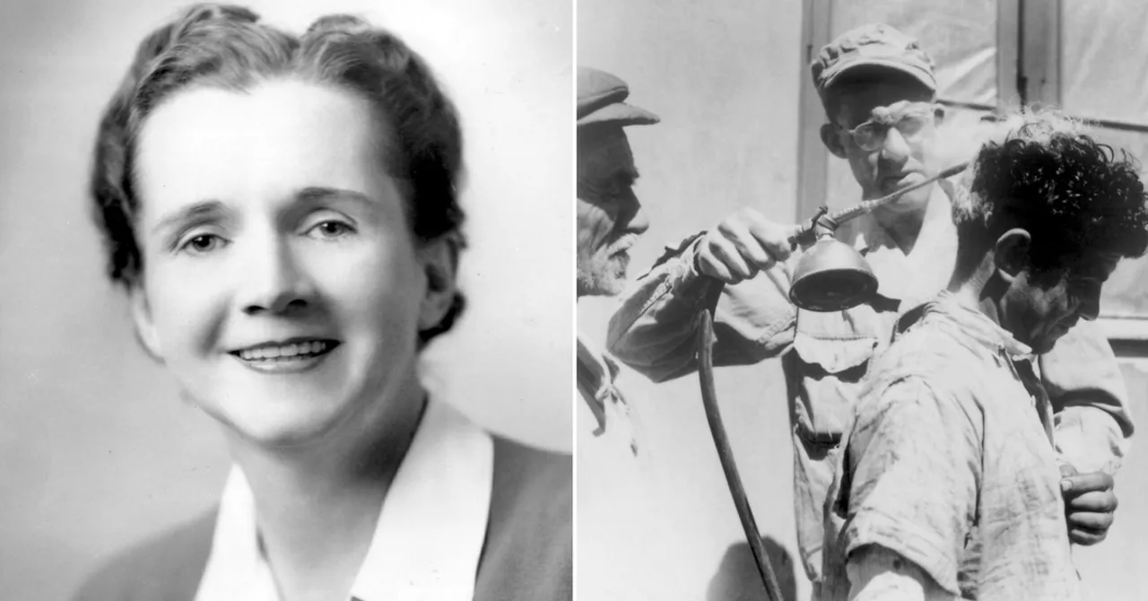 Mocked for Being a 'Woman Studying Genetics,' How Rachel Carson Got DDT Banned