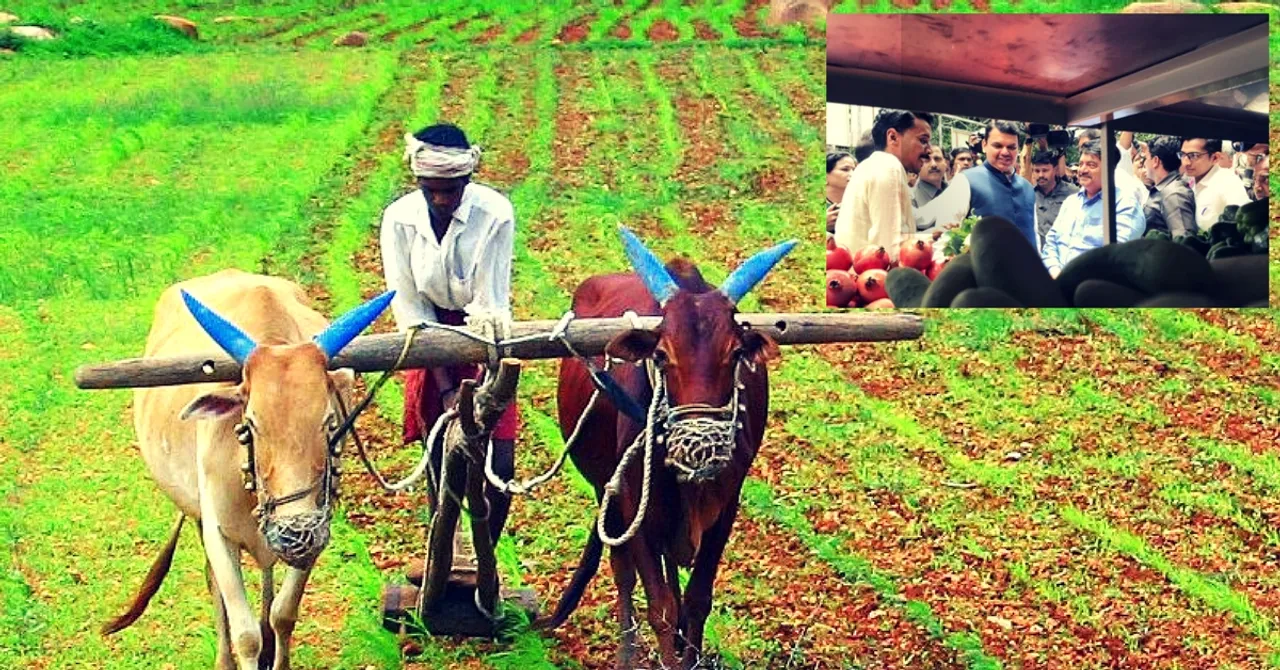 From Farm to Home: Maharashtra Farmers to Reach Consumers Directly With 125 Vans!