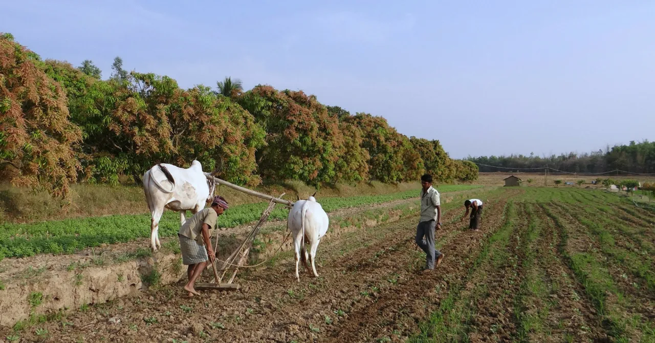 Karnataka Commerce Graduate Invents New Plough for Small Farmers