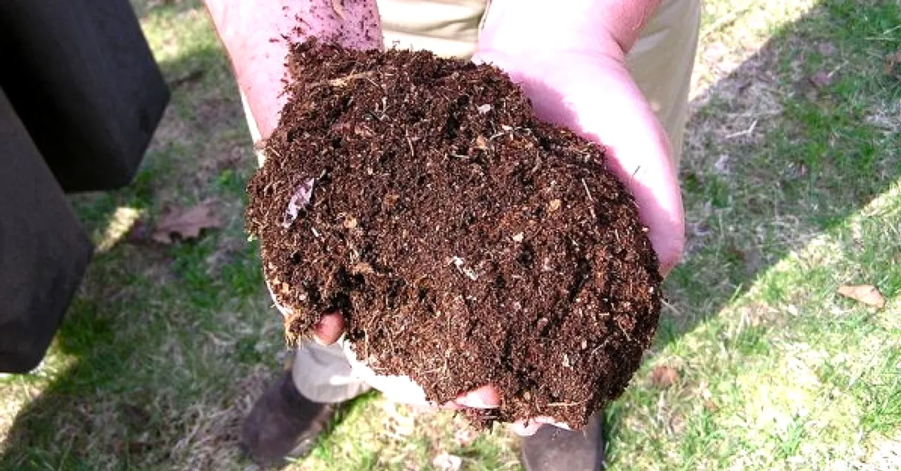 While Others Struggle with Waste, This Mumbai High-Rise Created 100 Kg of Manure!
